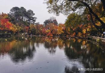 来苏州旅游不知道先去哪？5个必打卡的景点优先安排，别去错了  -图10