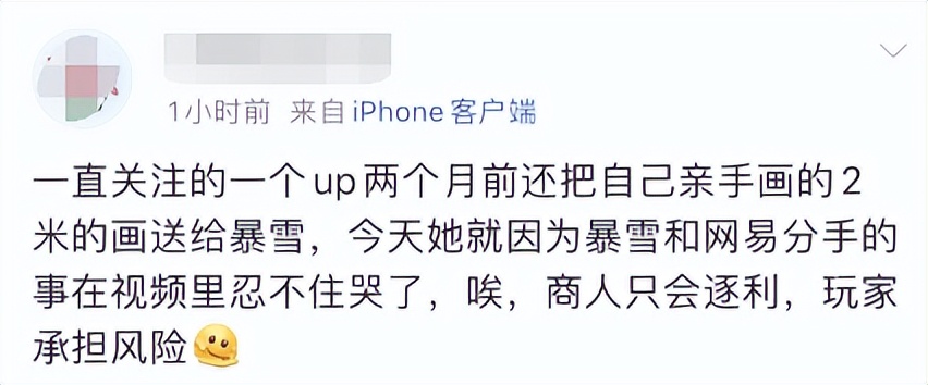 中国玩家输麻了？暴雪网易闹掰游戏停服，网友吐槽：等腾讯接手  -图9