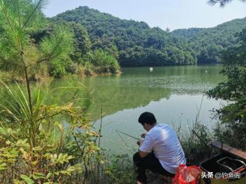 草鱼究竟是钓底还是钓浮？把这个问题搞清楚，鱼获蹭蹭上涨  -图4