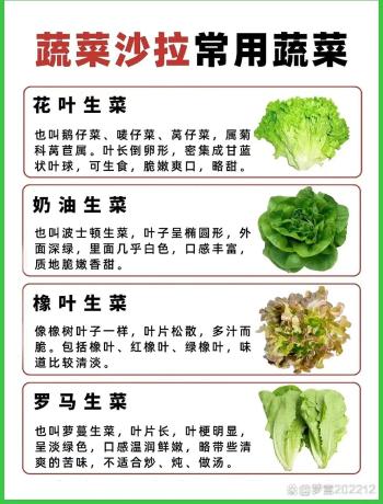 蔬菜沙拉常用的青菜有哪些  -图2