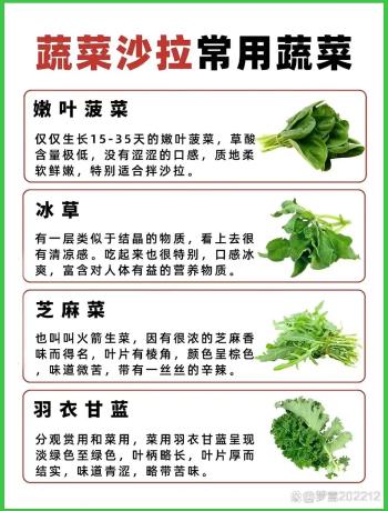 蔬菜沙拉常用的青菜有哪些  -图4