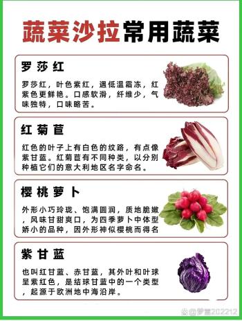 蔬菜沙拉常用的青菜有哪些  -图5