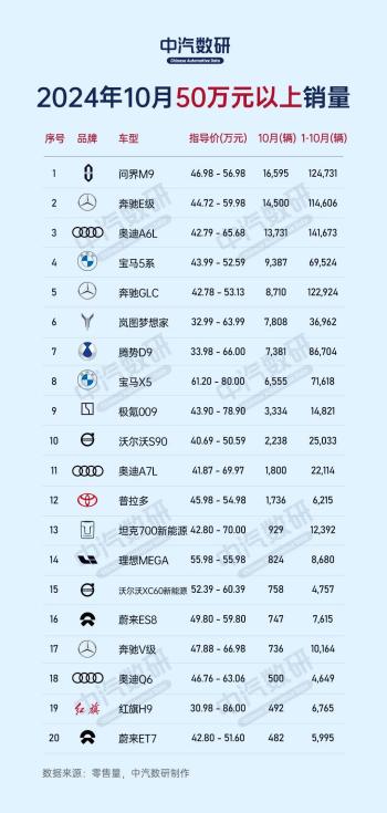 2024年10月各价格段汽车销量排行榜  -图6