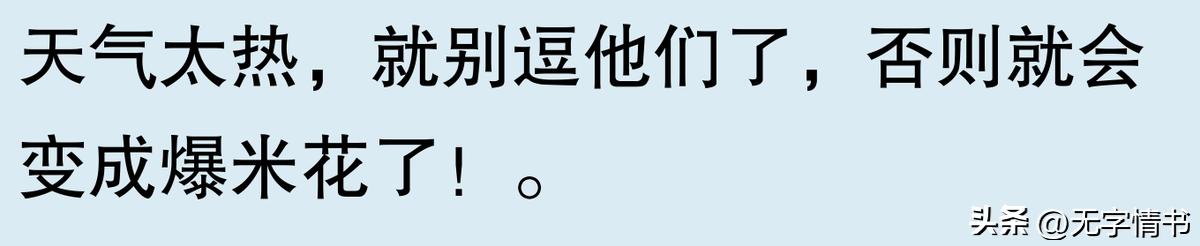 韩国地图放大？网友：你们真敢这么干！  -图11