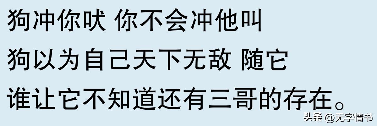 韩国地图放大？网友：你们真敢这么干！  -图25