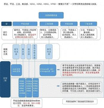 甲流、乙流、禽流感……都是流感，有什么不同？  -图1